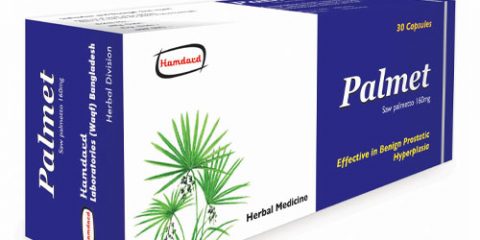 Capsule Palmet